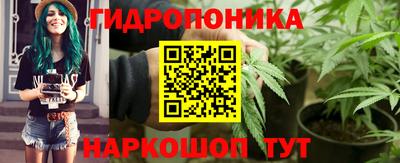 не бодяженный Бийск